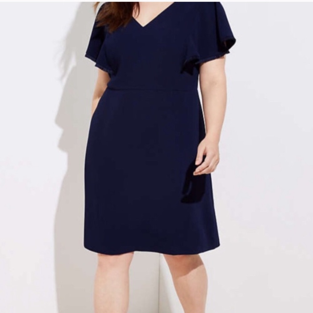 NWT Loft | flutter dress